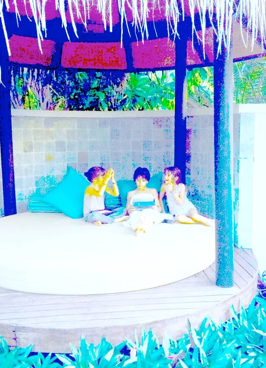 Mihaela Radulescu (Facebook)