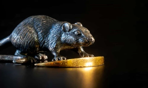 1 horoscop chinezesc jpg jpeg