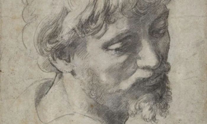 Desenul "Cap de Apostol" a maestrului Rafael Sanzio