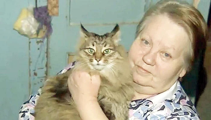 Pisica a acoperit cu blana ei copilaşul abandonat la -7ºC. Nadejda Makovikova a îmbrăţişat pisica pentru fapta ei bună