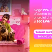 PPC Simplu 26 (1) png