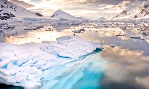 4 baza antarctica jpeg