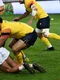 Romania Tonga, amical rugby (Sportpictures) jpg