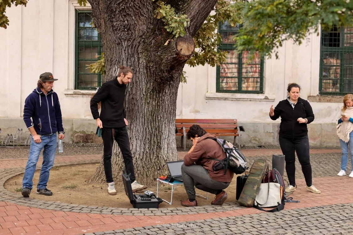 Specialiştii fac analize complexe arborelui din Piaţa Libertăţii FOTO Seba Tătaru