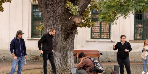 Arborele din Piaţa Libertăţii FOTO Seba Tătaru