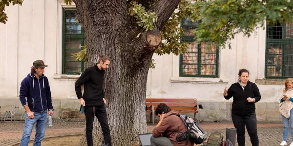 Arborele din Piaţa Libertăţii FOTO Seba Tătaru