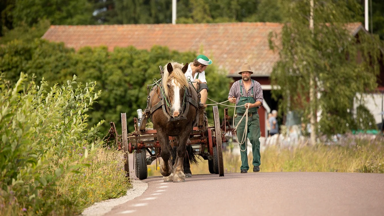 Depășirea căruței, conform Codului Rutier / FOTO: Pixabay