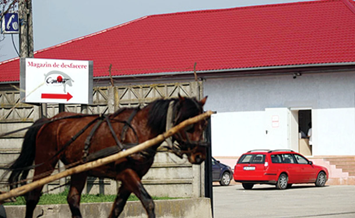 Una din clădirile Smithfield din zona Freidorf