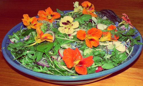 1 77286 original jpg jpeg