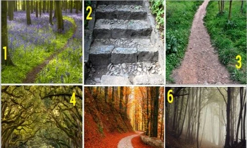 1 84610 original jpg jpeg