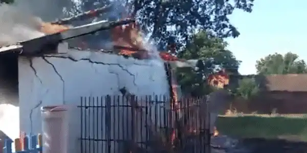 elev foc gif