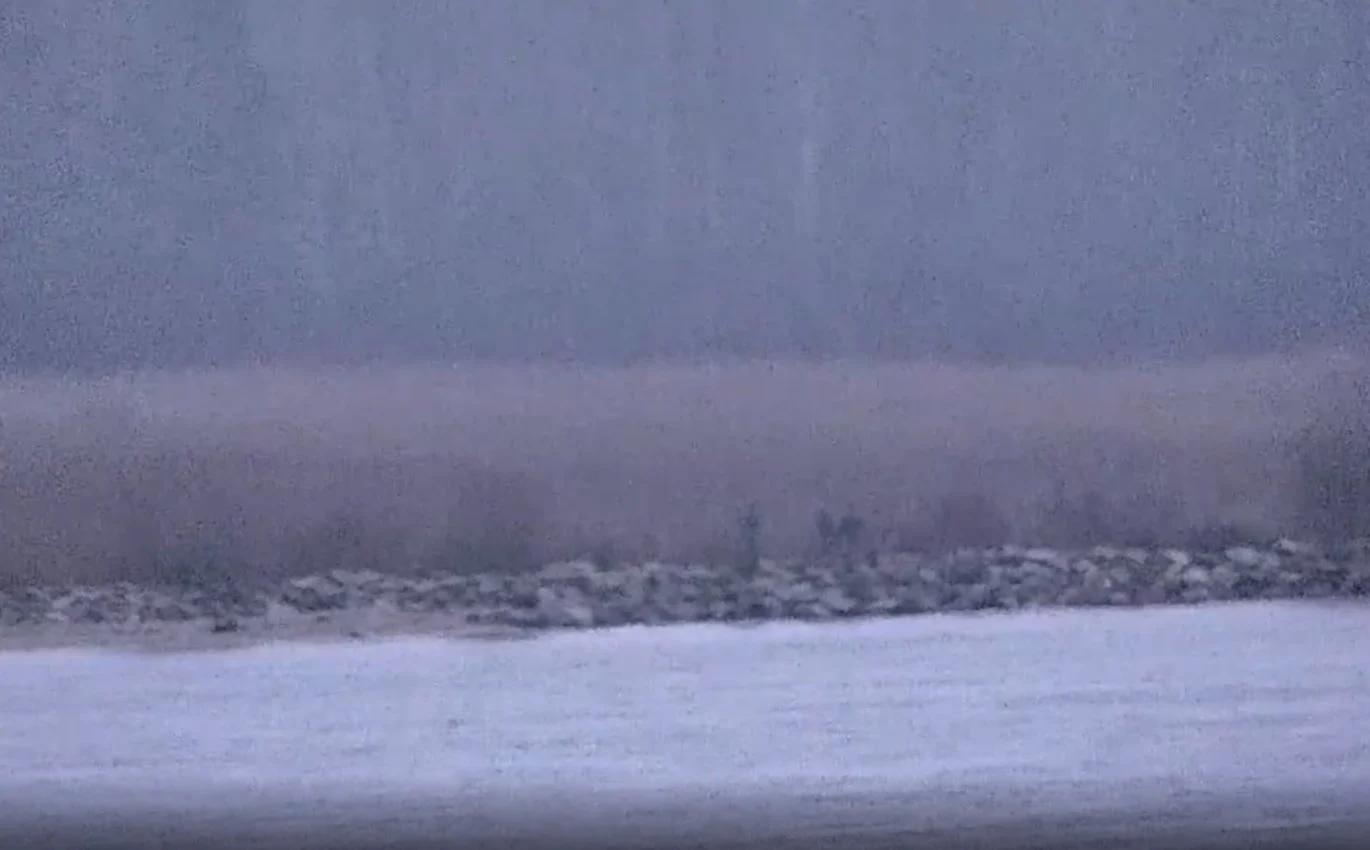 Trei grăniceri ruși au trecut ilegal granița cu Estonia cu ajutorul unor ambarcațiuni cu pernă de aer