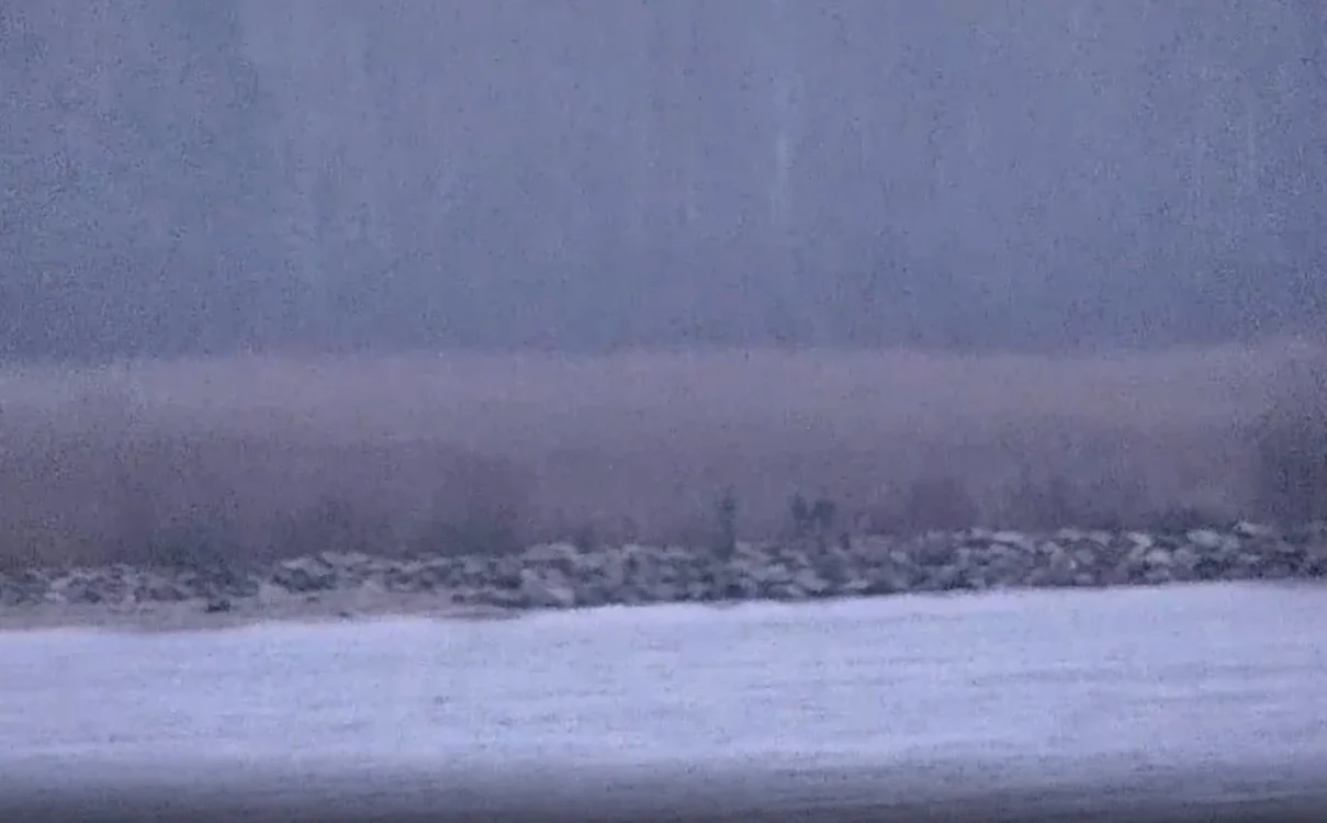 Grănicerii ruși au trecut ilegal în Estonia FOTO: captură X
