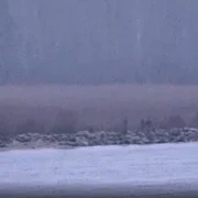 graniceri rusi au trecut în Estonia jpeg