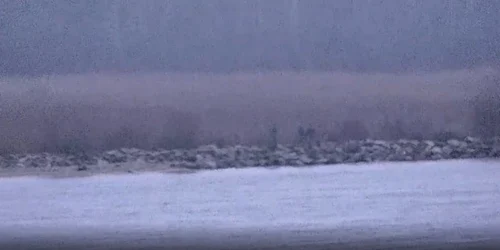 graniceri rusi au trecut în Estonia jpeg