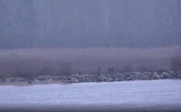 Grănicerii ruși au trecut ilegal în Estonia FOTO: captură X