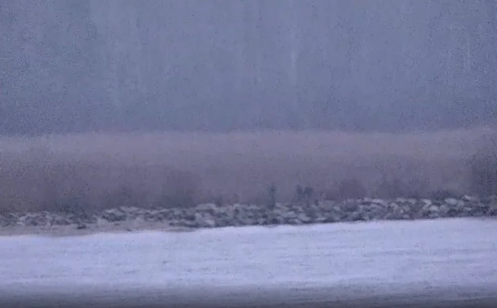 Trei grăniceri ruși au trecut ilegal granița cu Estonia cu ajutorul unor ambarcațiuni cu pernă de aer