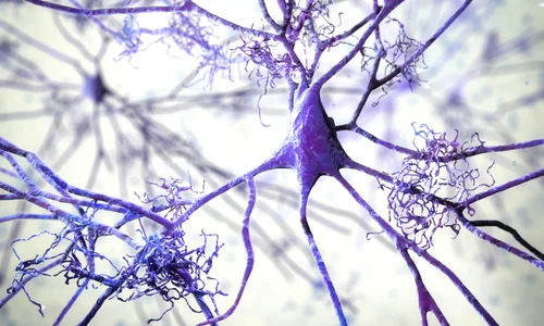 shutterstock 2006984441 jpg