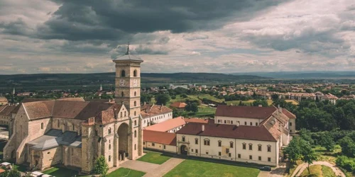 Cat Catolica