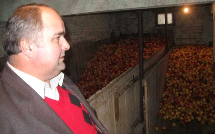 Pomicultorii isi văd poducţia compromisă