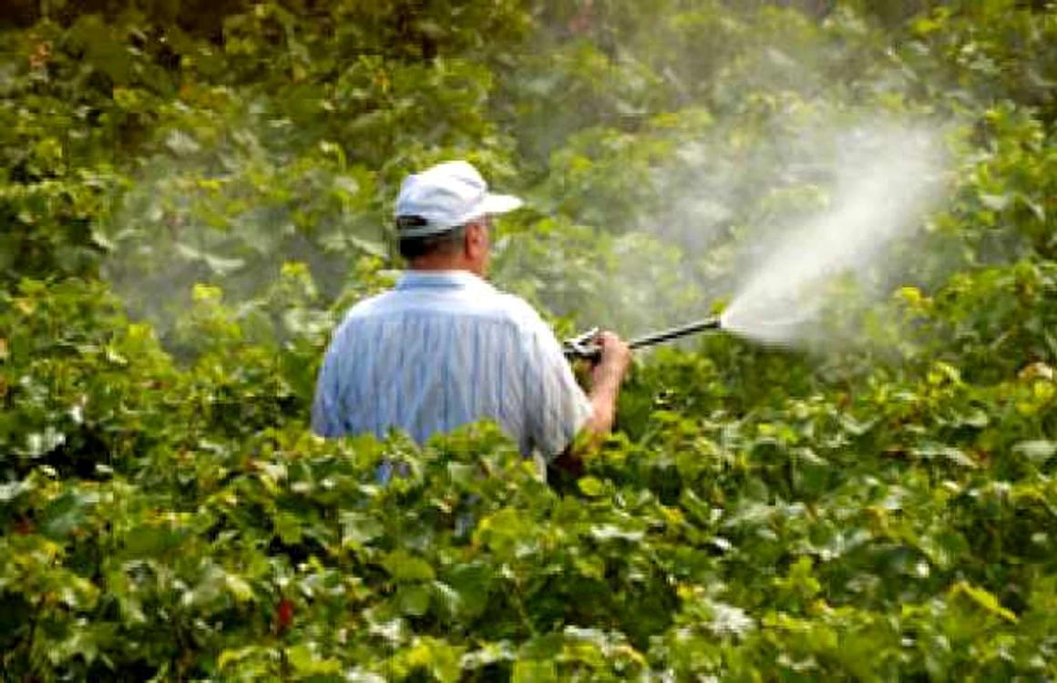 pesticide