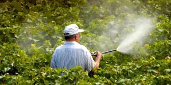 pesticide