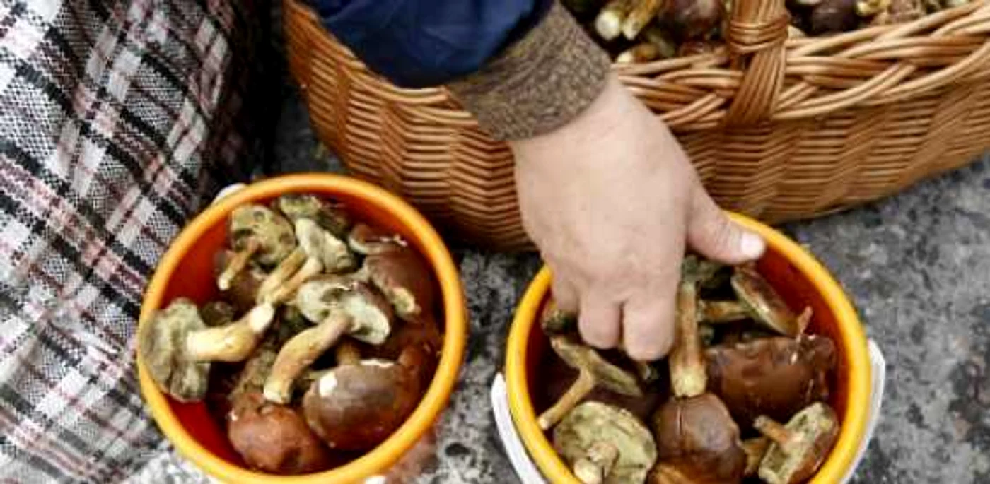 Foto Arhivă