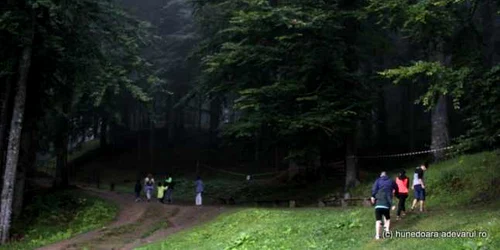 padure sarmizegetusa regia