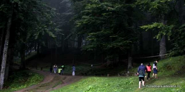 padure sarmizegetusa regia