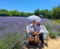 lavanda 28 jpg