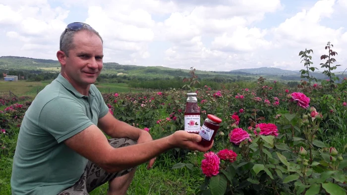 Plantaţie de trandafiri pentru dulceaţă