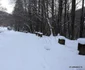 Cascada lolaia din Retezat, iarna  Foto Daniel Guță ADEVĂRUL (11) JPG