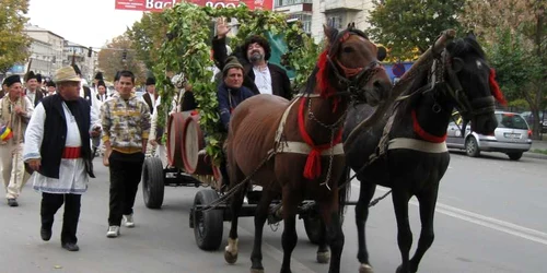 Vizita Zeului „Bachus” îi costă o avere pe vrânceni oto: Ştefan Borcea