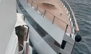 iaht venus steve jobs captura video jpg
