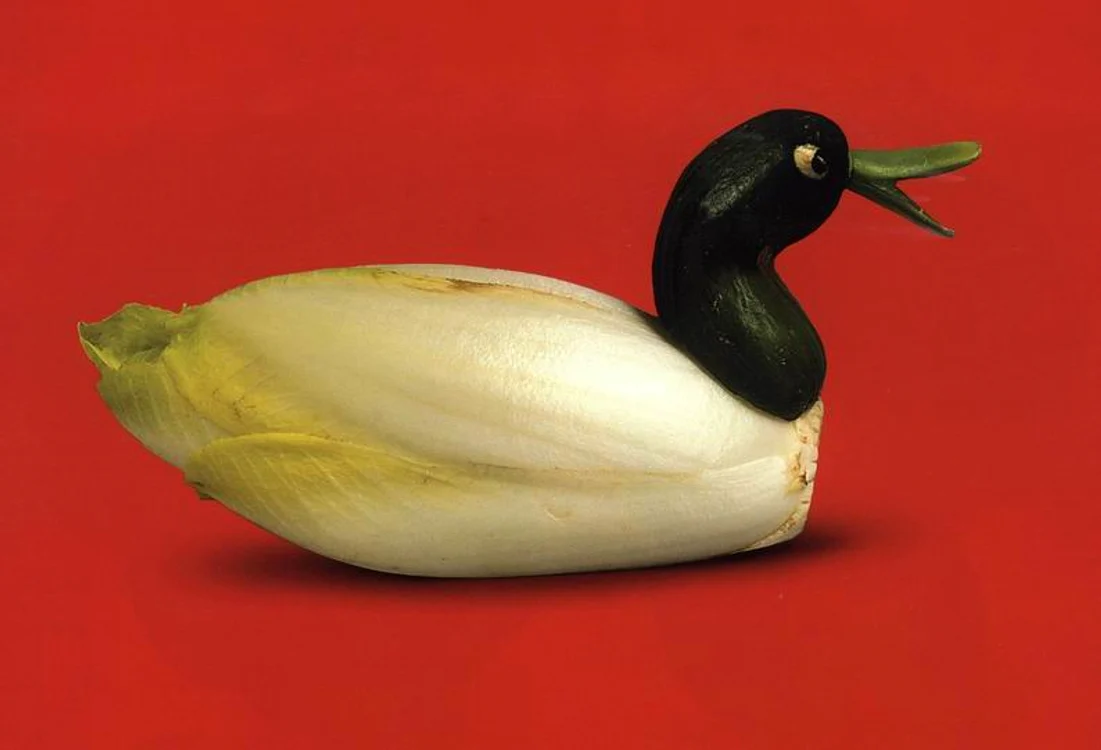 duck lettus vegetable art jpeg
