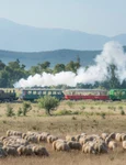 Mocănița Văii Hârtibaciului din Sibiu Foto Asociația Prietenii Mocăniței Facebook