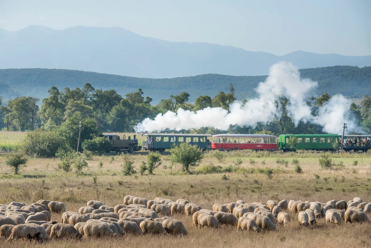 Mocănița Văii Hârtibaciului din Sibiu Foto Asociația Prietenii Mocăniței Facebook