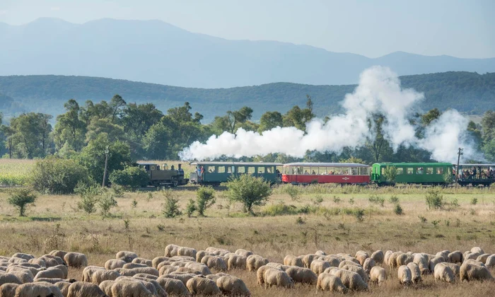 Mocănița Văii Hârtibaciului din Sibiu Foto Asociația Prietenii Mocăniței Facebook