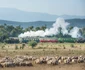 Mocănița Văii Hârtibaciului din Sibiu Foto Asociația Prietenii Mocăniței Facebook
