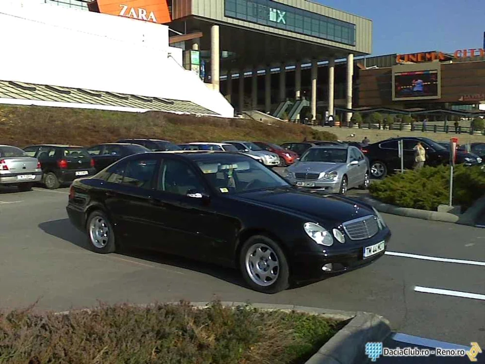Timişorenii parchează ca în codru