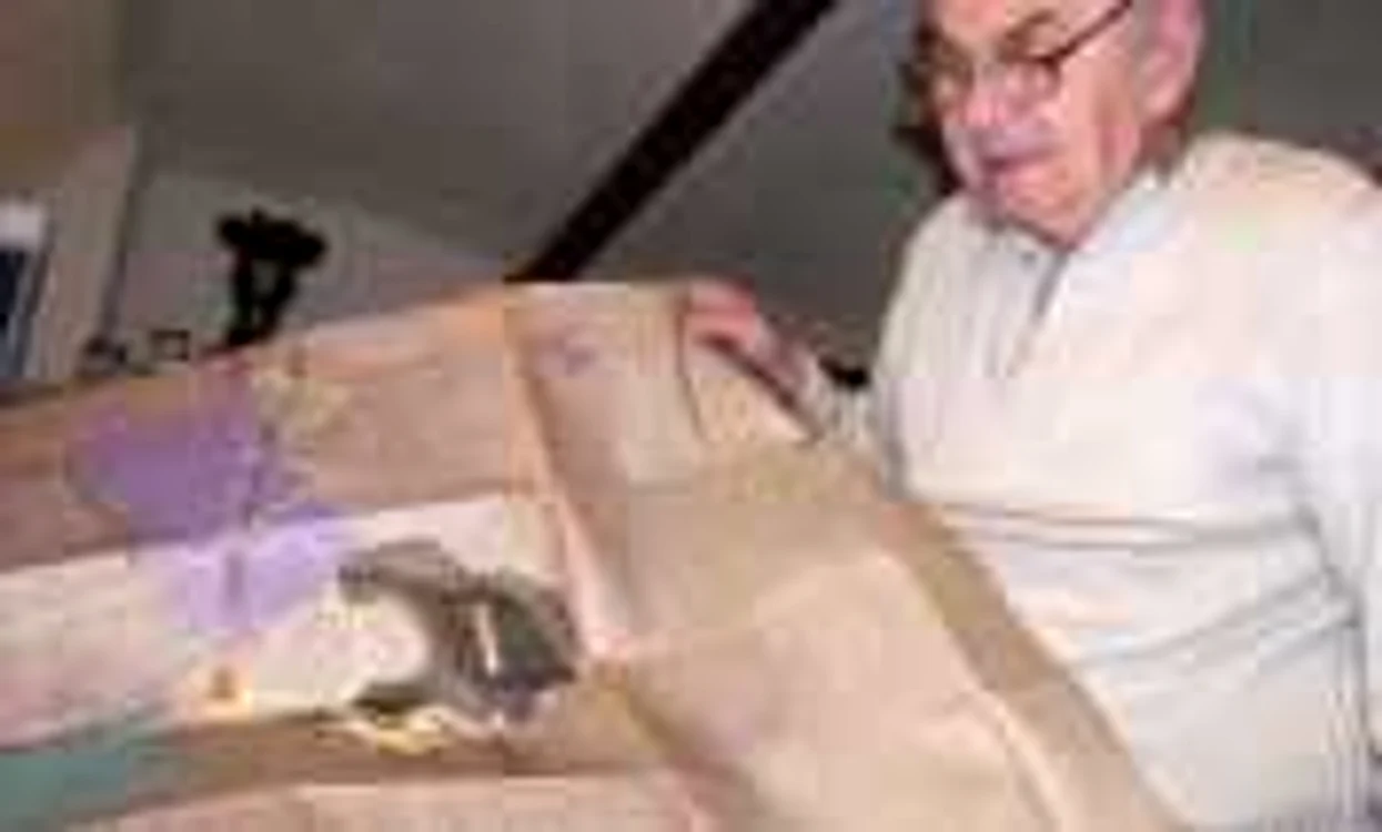 Alexandru Constantinescu a păstrat planurile proiectelor