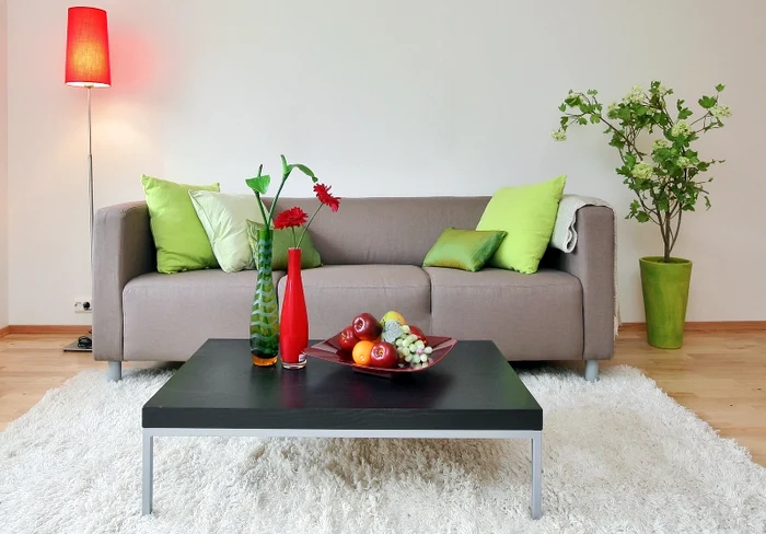 
    Trăsăturile de caracter ale unei persoane se reflectă în stilul casei sale  