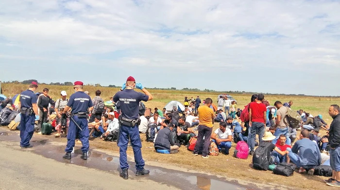 
    Autorităţile maghiare îi strâng  pe refugiaţi pe un câmp,  înainte de a-i lua în evidenţă şi  de a-i trimite în tabere specialeFoto: AP  