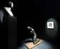 Expo Brâncuși la Timișoara FOTO Ștefan Both