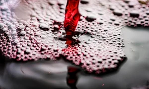 wine 7467085 1280 jpg