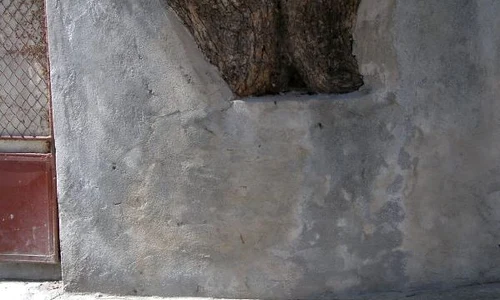 Cum au cîștigat Verzii alegerile, dar au pierdut bătălia jpeg