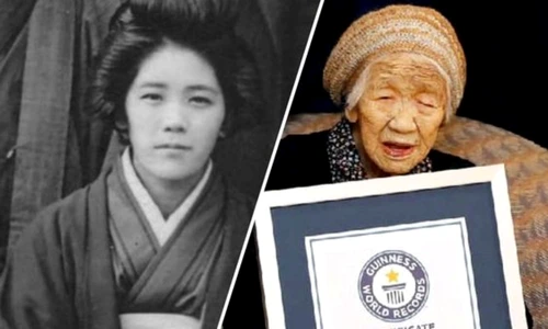 1 kane tanaka 4 jpg jpeg