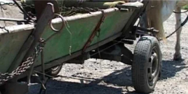 Căruţaşul a fost grav rănit