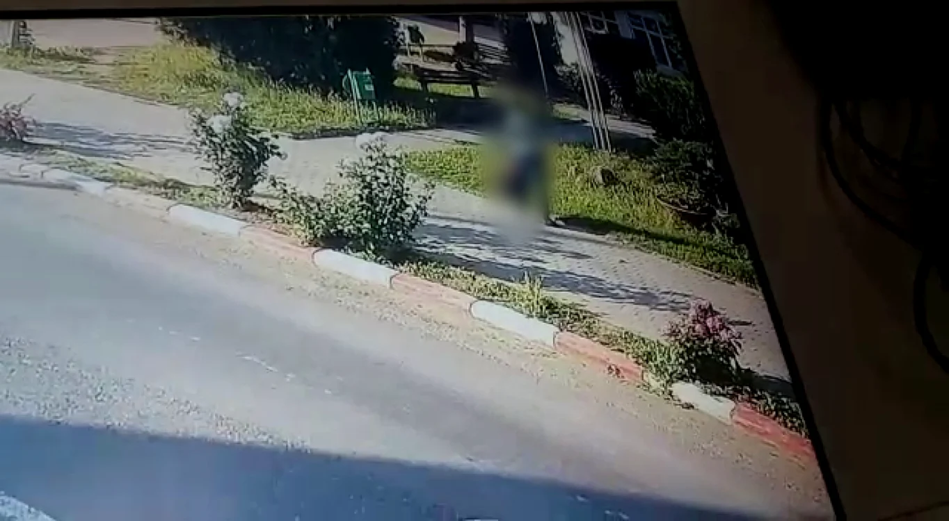 Captură video