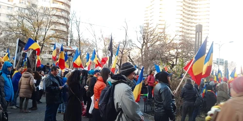 protest antivaccinare universitate